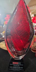 Power Minister Adelabu wins Businessday Excellence award